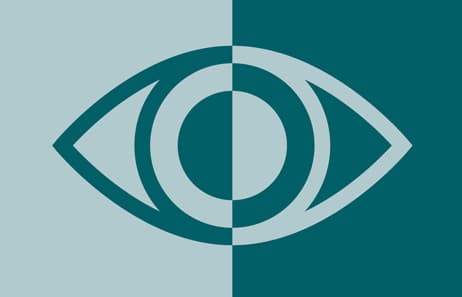 Cornea